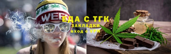 хмурый Алзамай