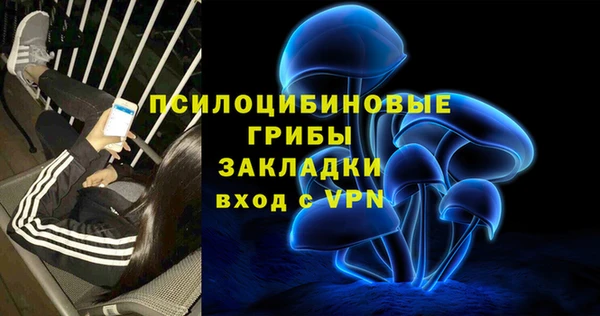 хмурый Алзамай