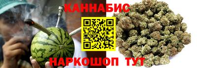 дмт Гай