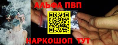 дмт Гай