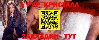 дмт Гай