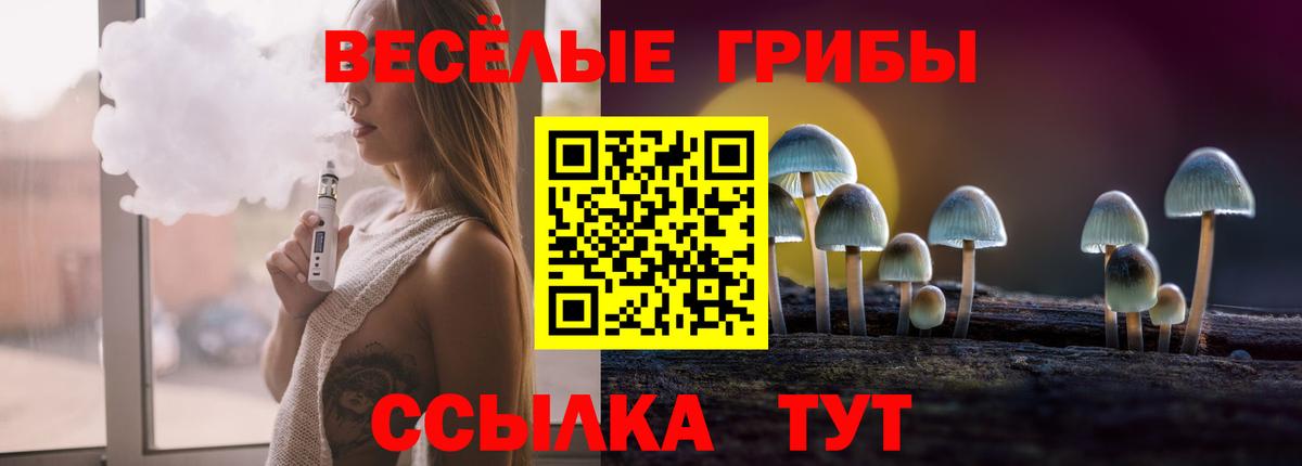 Псилоцибиновые грибы MAGIC MUSHROOMS  Вход с VPN  Каменск-Уральский 